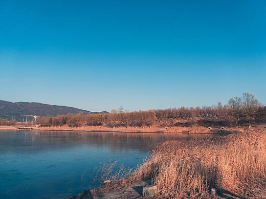 滨河森林公园（个人主页-ZNDkyOTM4NDg=） - 风光摄影 - 站酷设计师郄广鑫q原创素材 - 站酷ZCOOL