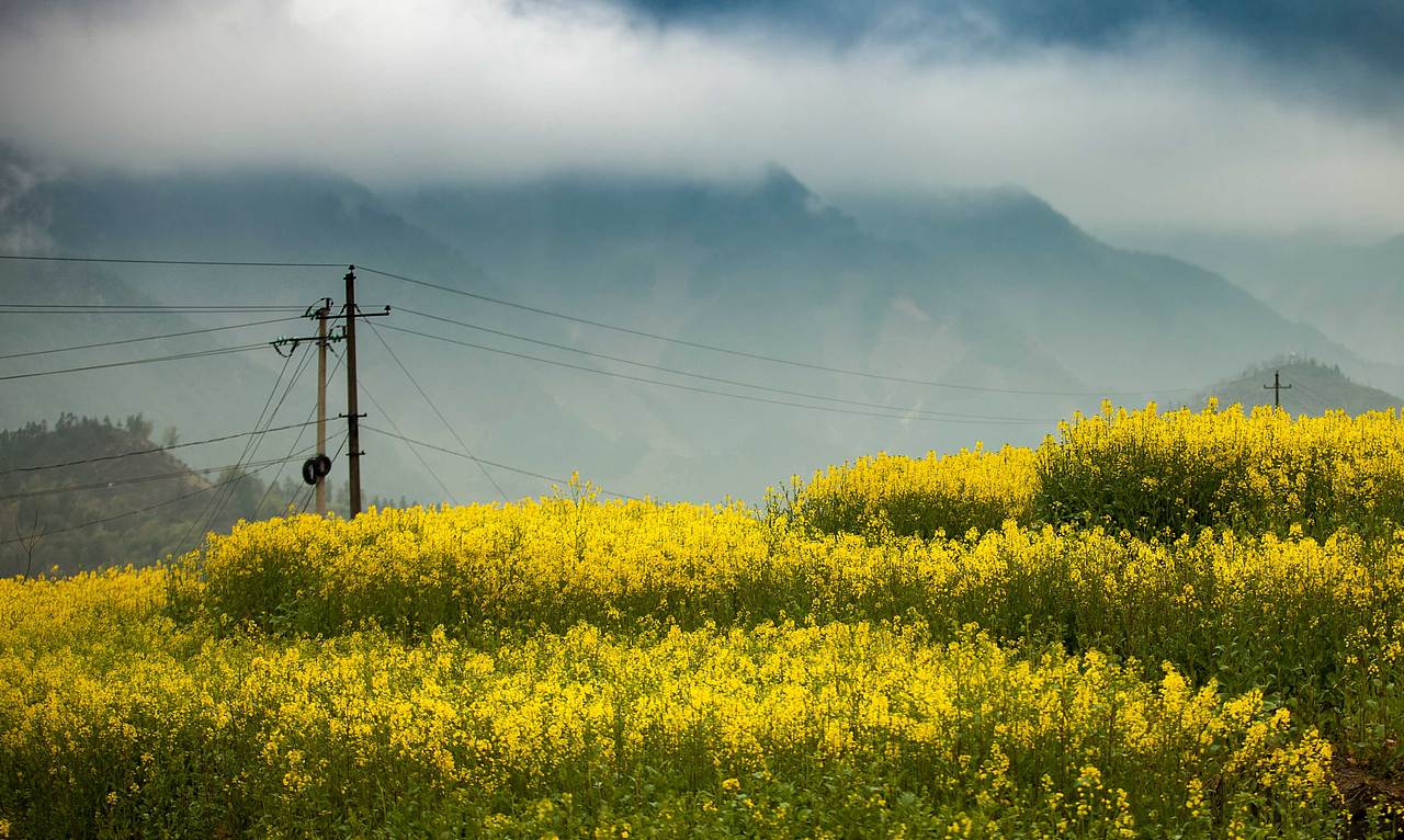一步一景，步移景换，画里乡村（图ZNzQxMTA3MzI=） - 风光摄影 - 站酷设计师伡晓原创素材 - 站酷ZCOOL
