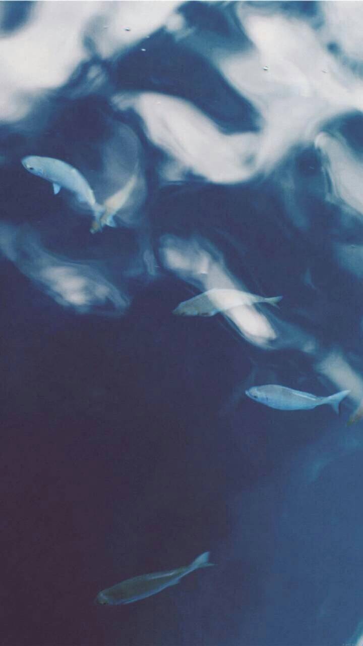 一枚滑滑的脑壳的个人主页（封面预览） - 主页封面设置 - 站酷设计师一枚滑滑的脑壳原创素材 - 站酷ZCOOL