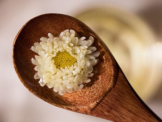 胎菊（个人主页-ZMzgyMTIyNzY=） - 产品摄影 - 站酷设计师白日梦MashiGi原创素材 - 站酷ZCOOL