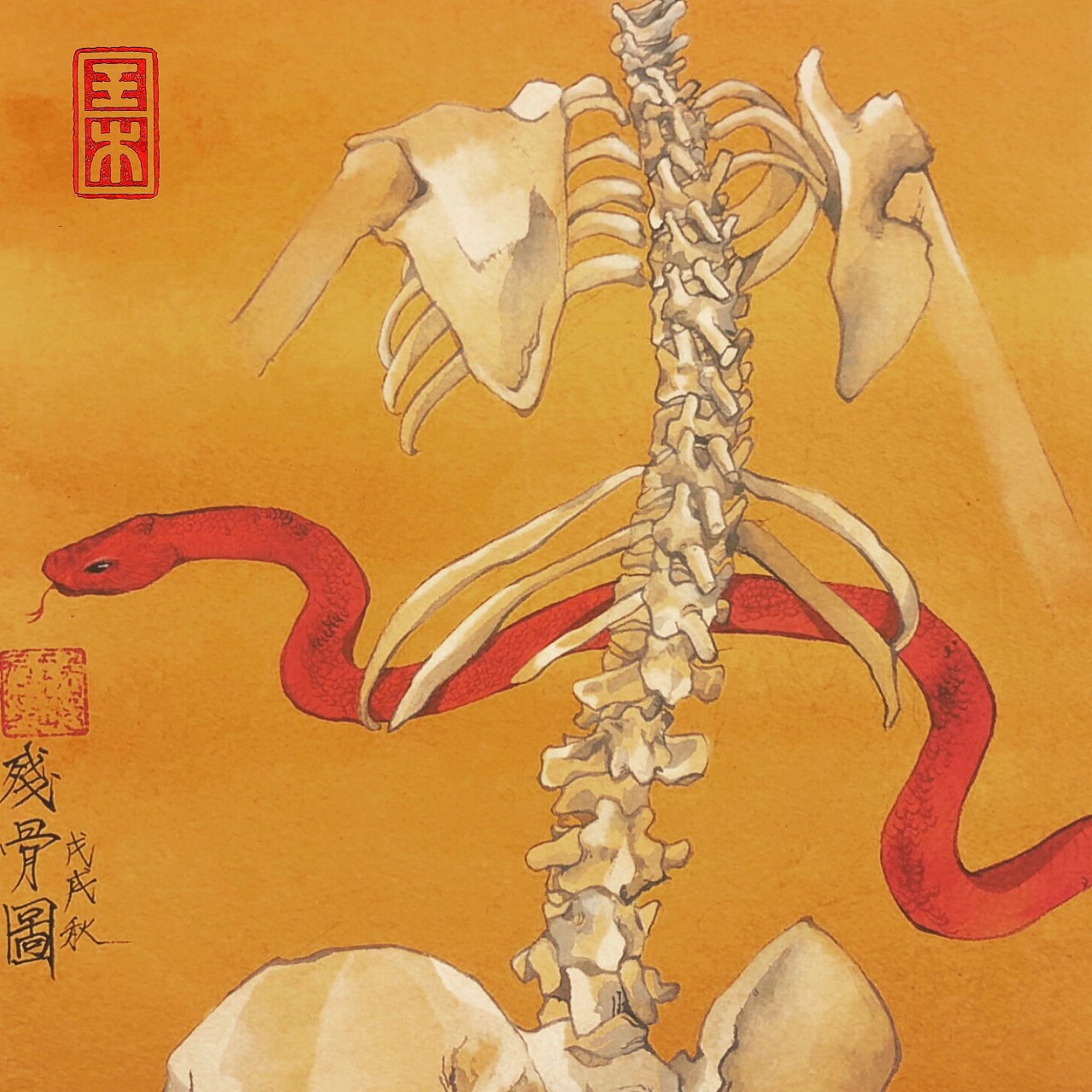  灵感来源于佛教九相图.