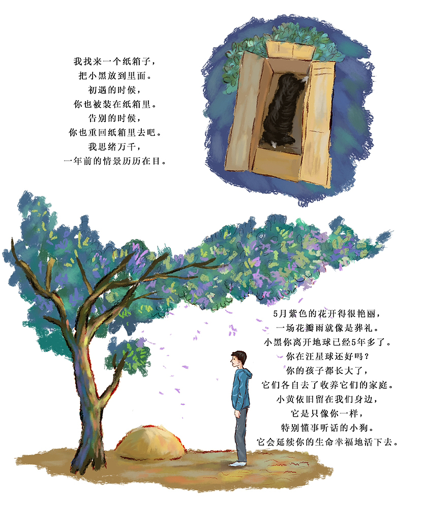 狗这一辈子