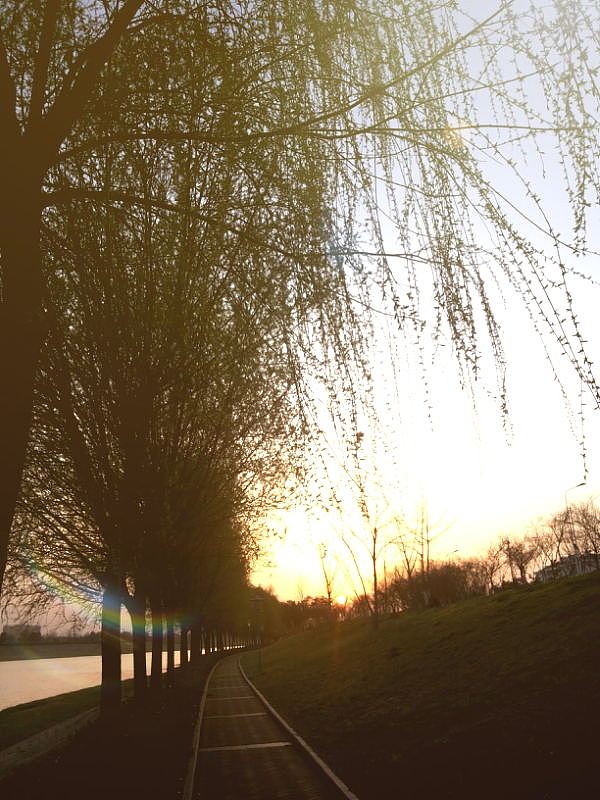 那一年，我的校园，我们的月亮岛