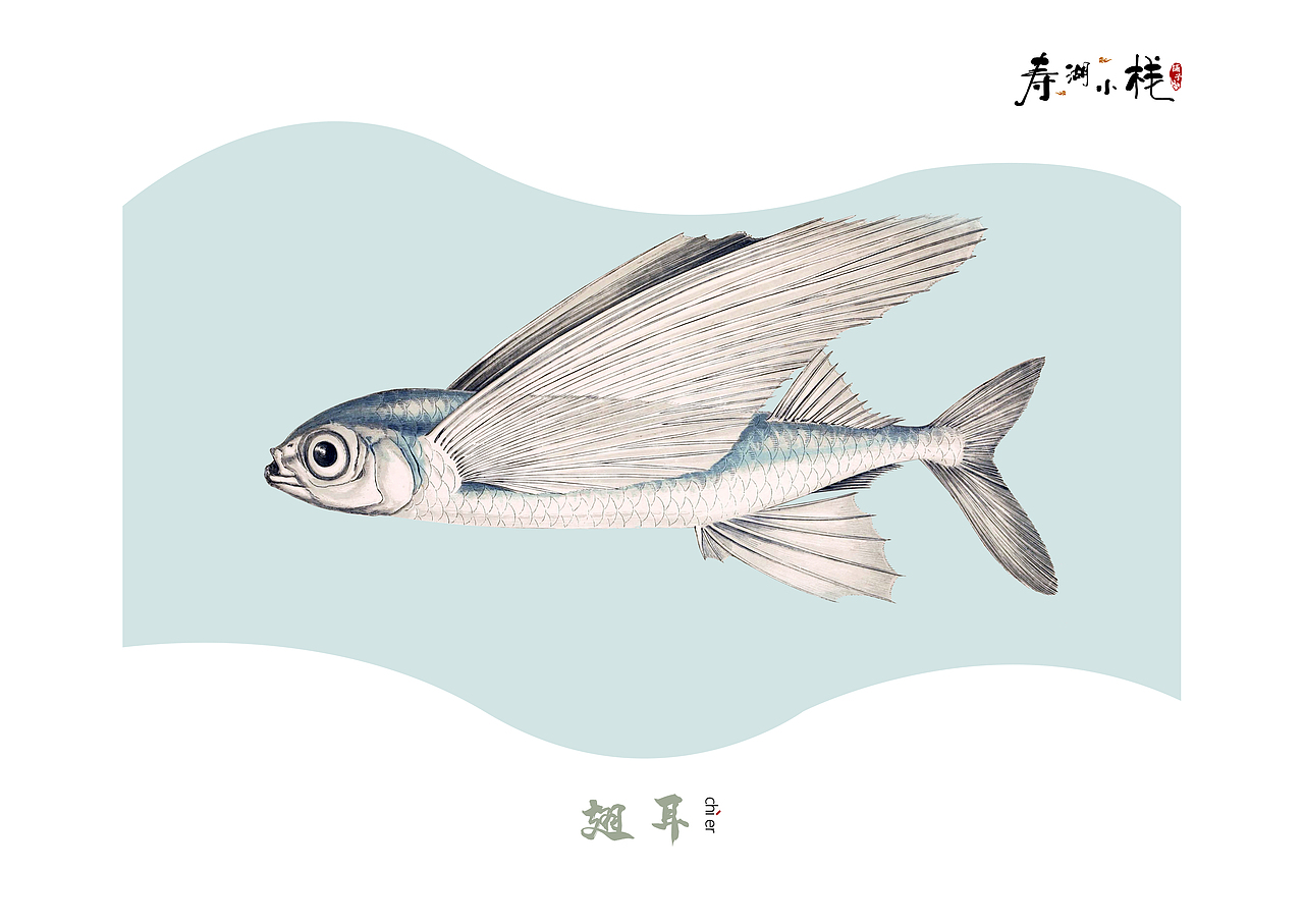 《鱼》（图ZMTYwNDE4Nzgw） - 书籍/画册 - 站酷设计师ANEAL原创素材 - 站酷ZCOOL