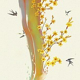 离游的头像