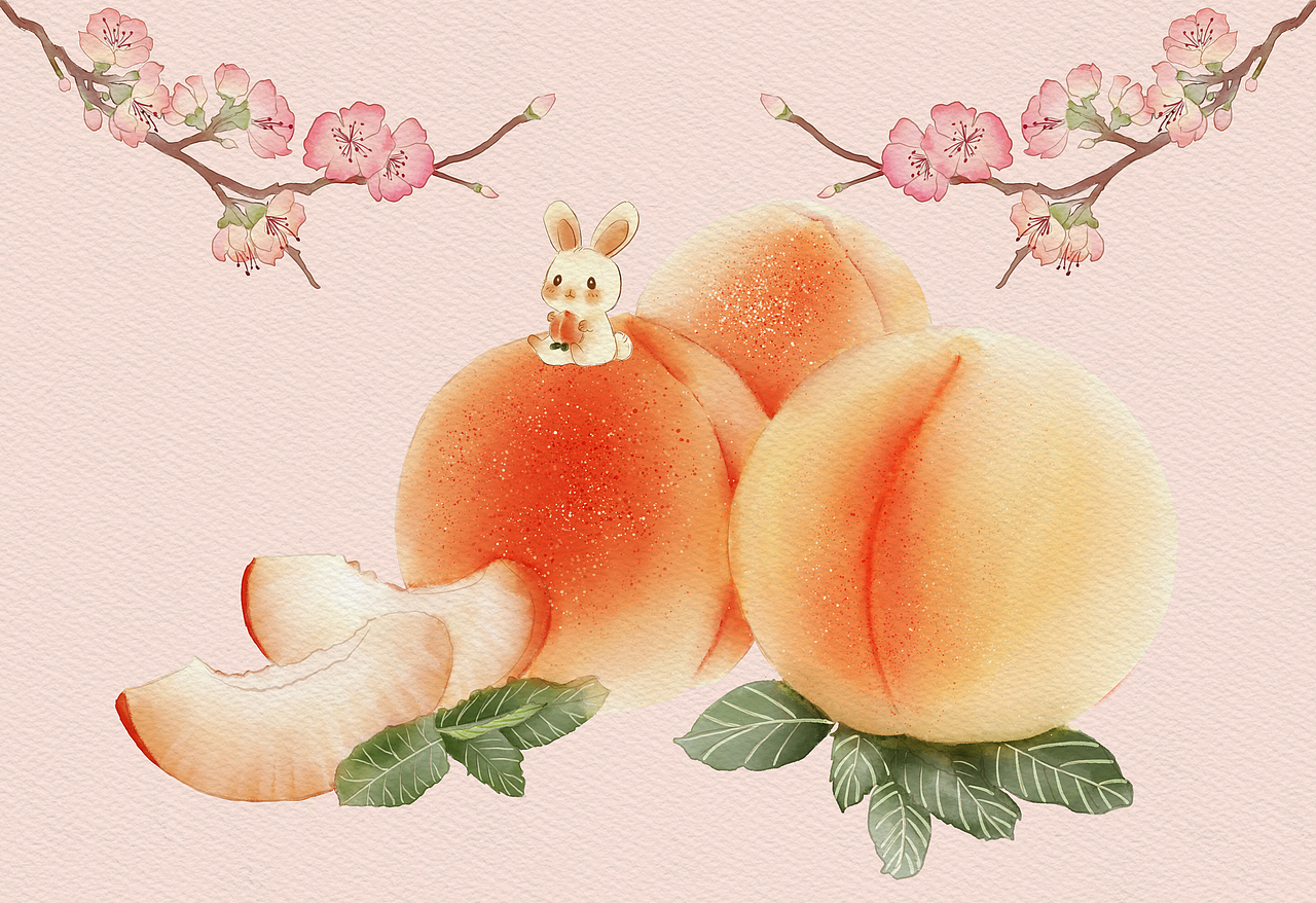 桃子和兔子