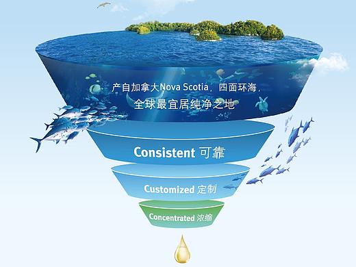 帝斯曼人类营养产品部 产品单页设计