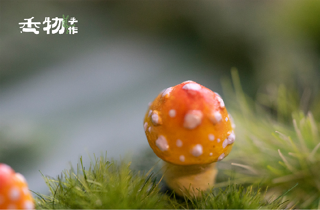 【秃物手作·秃仔】 心装万物自在独行（图ZMjYyNjU4NTM2） - 手办/模玩 - 站酷设计师橙秃秃原创素材 - 站酷ZCOOL