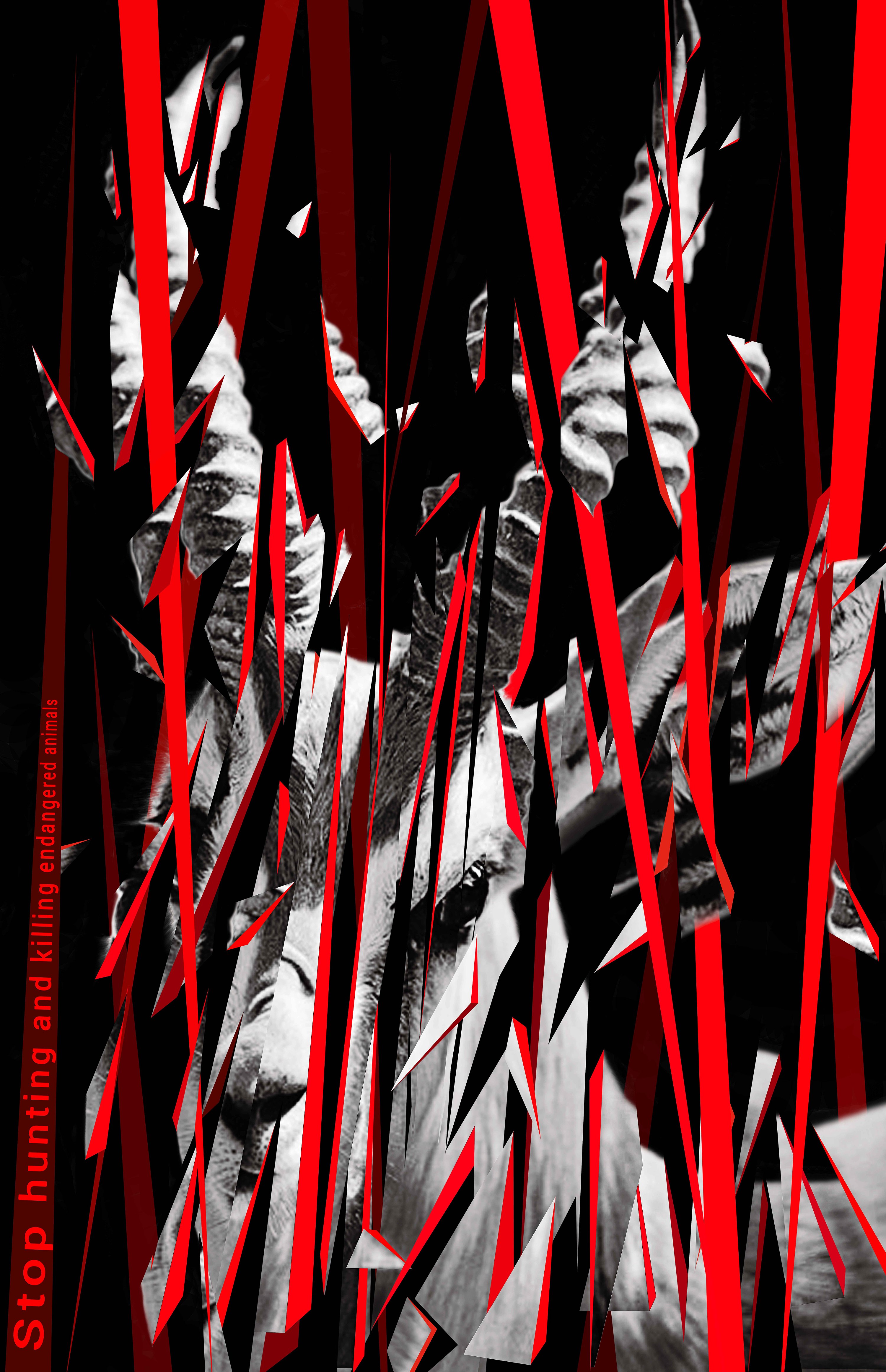 停止猎杀濒危动物·|平面|海报|王显丽_原创作品-站酷zcool