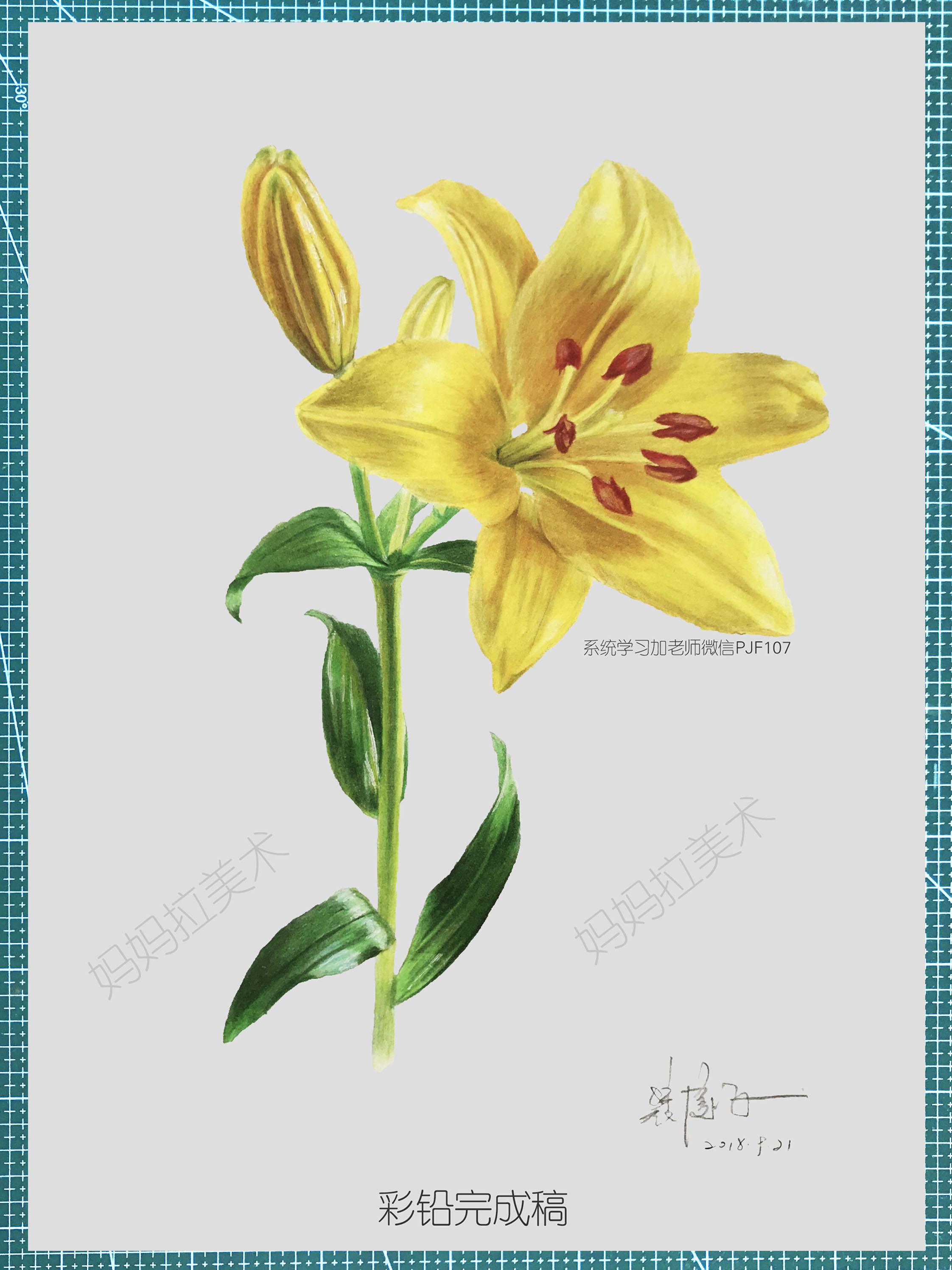 中央美院状元-妈妈拉艺术学院裴俊飞老师分享:为什么很多人学彩铅学不