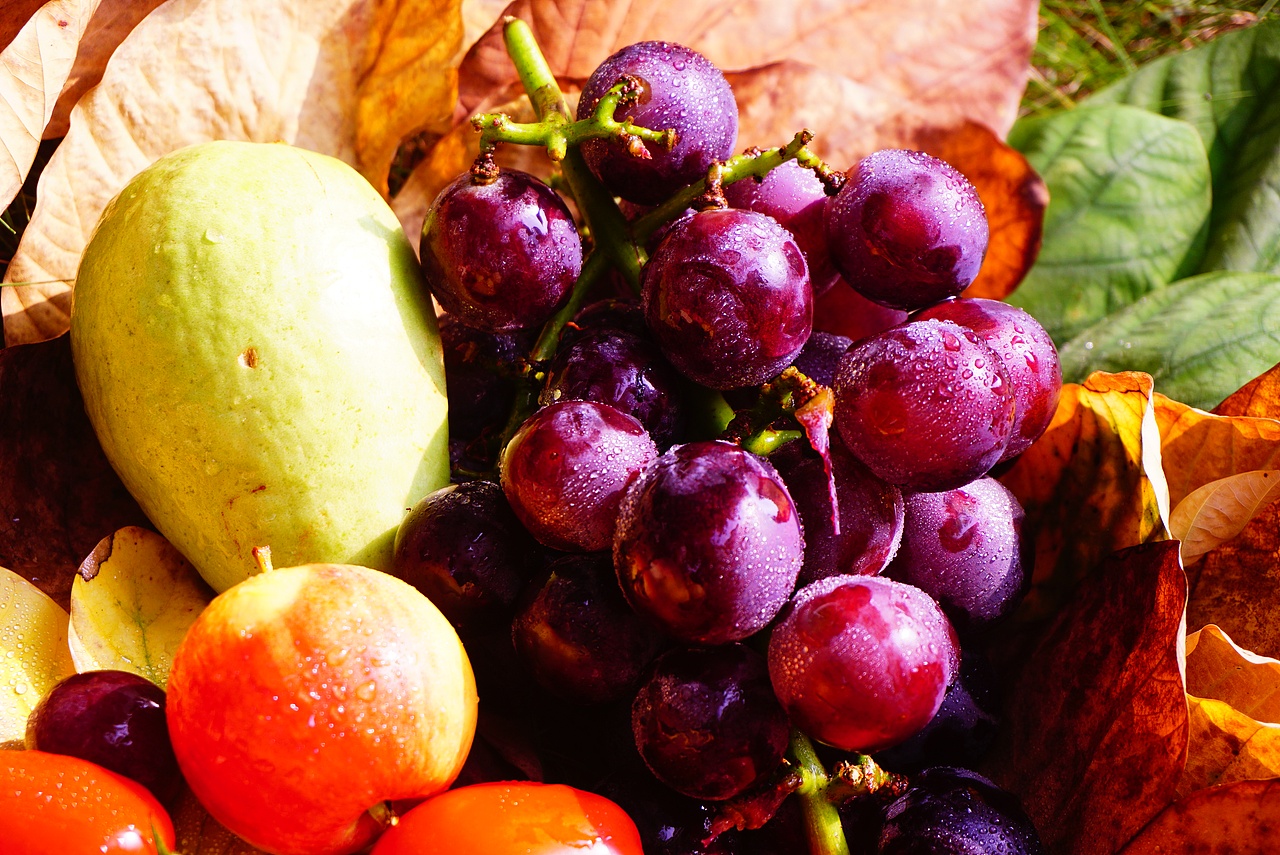 水果摄影（图ZMjIyNjQxMjMy） - 产品摄影 - 站酷设计师Z75671391原创素材 - 站酷ZCOOL