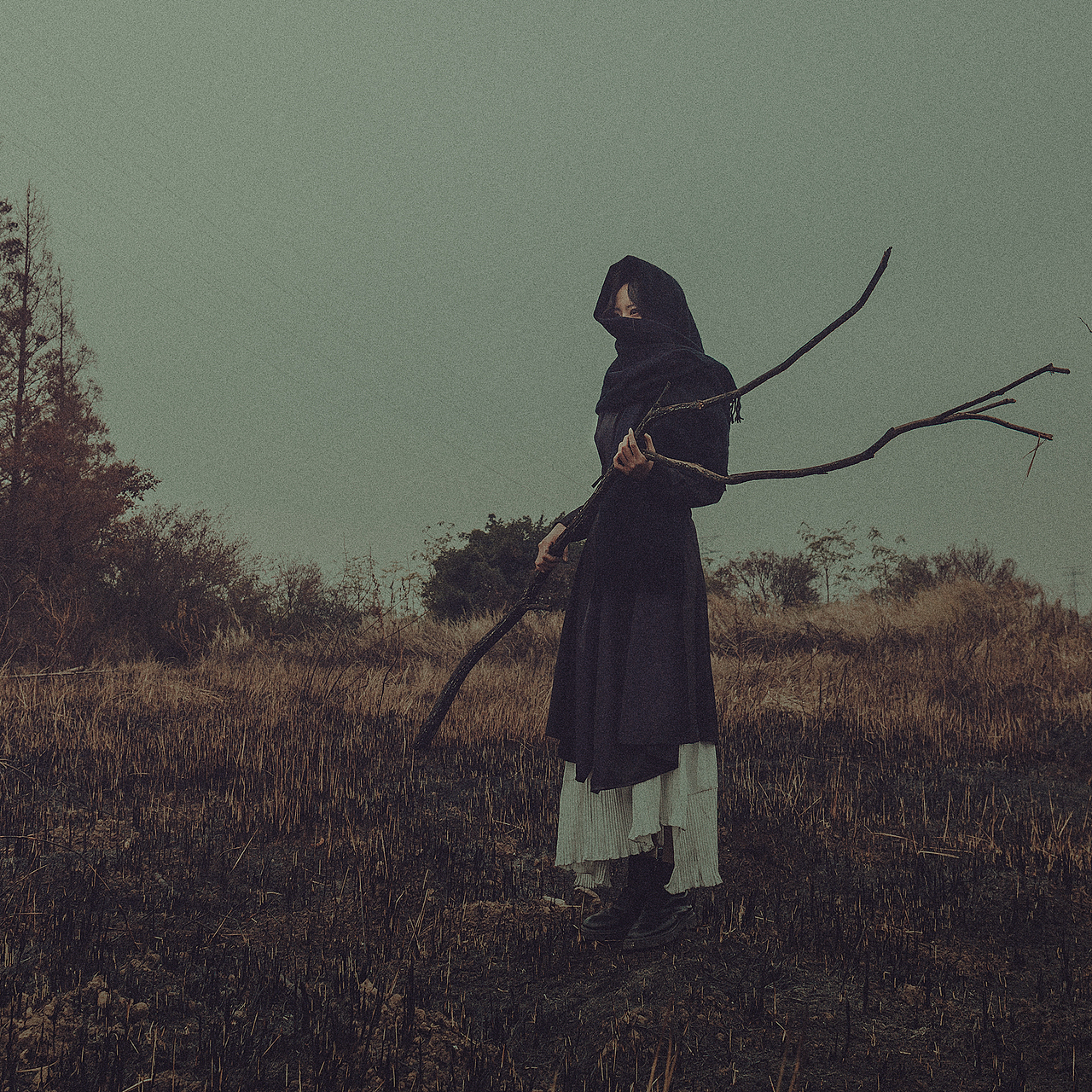 叶落无声花自残