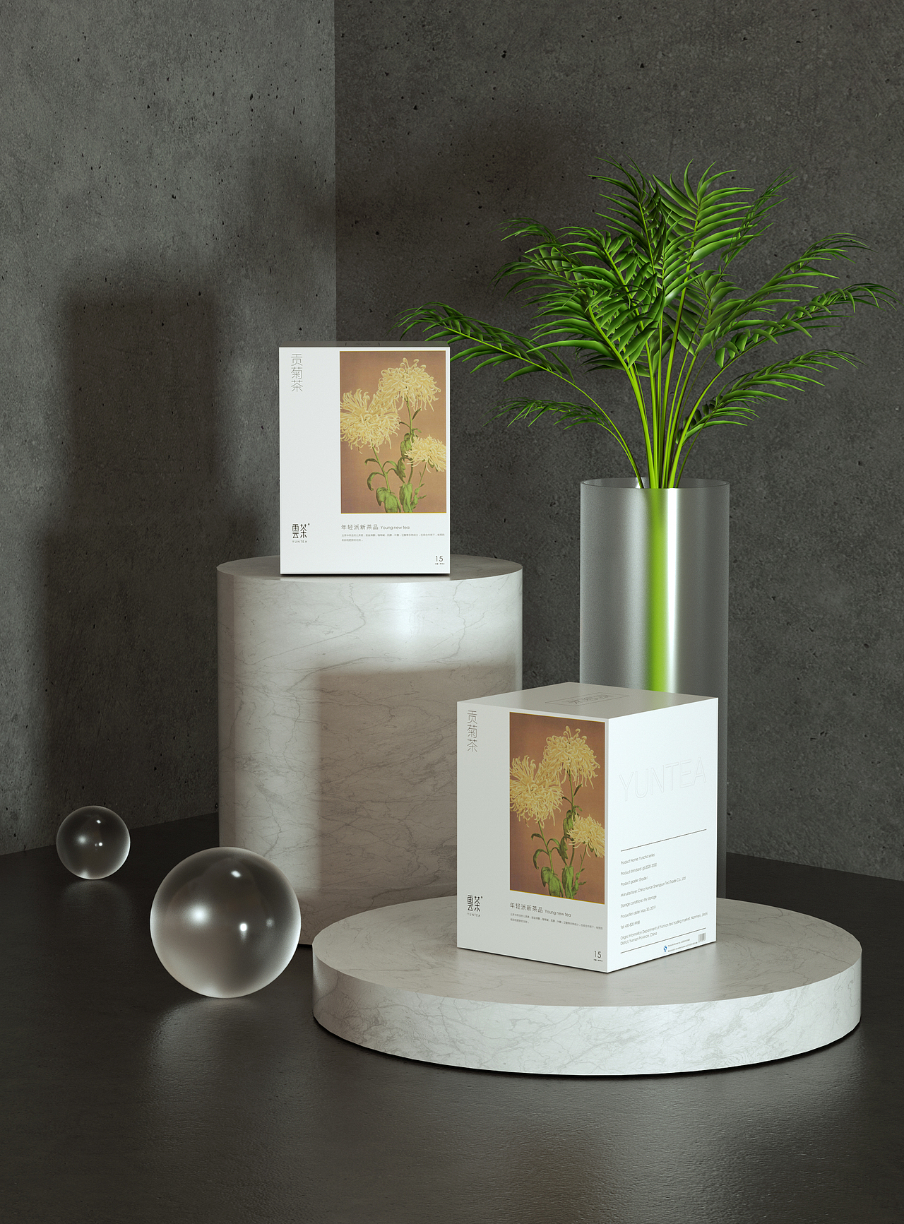 【练习】茶叶包装C4D建模渲染