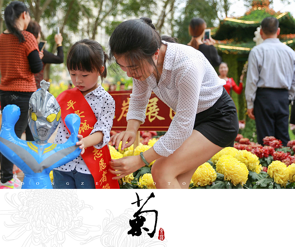 【東泽视觉】福建省第五届菊花展以及莆田市第七届盆景展