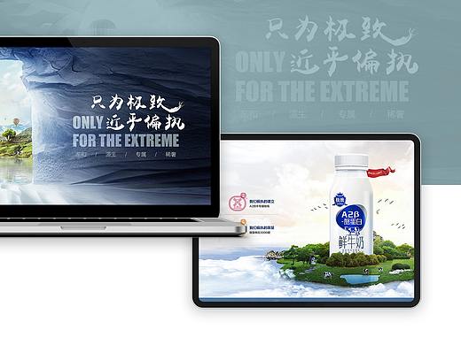 三元鲜奶电商详情竞标