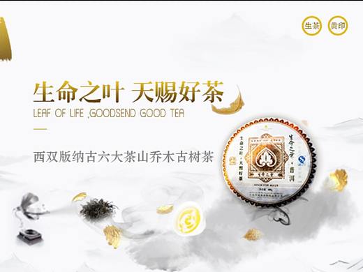 生命之叶——黄印生茶详情页