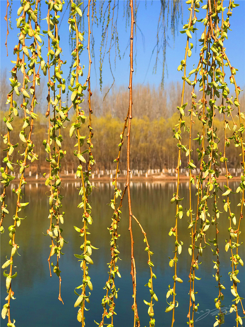 刘勇良纪实摄影:柳依依