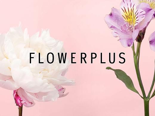 Flowerplus | 花加