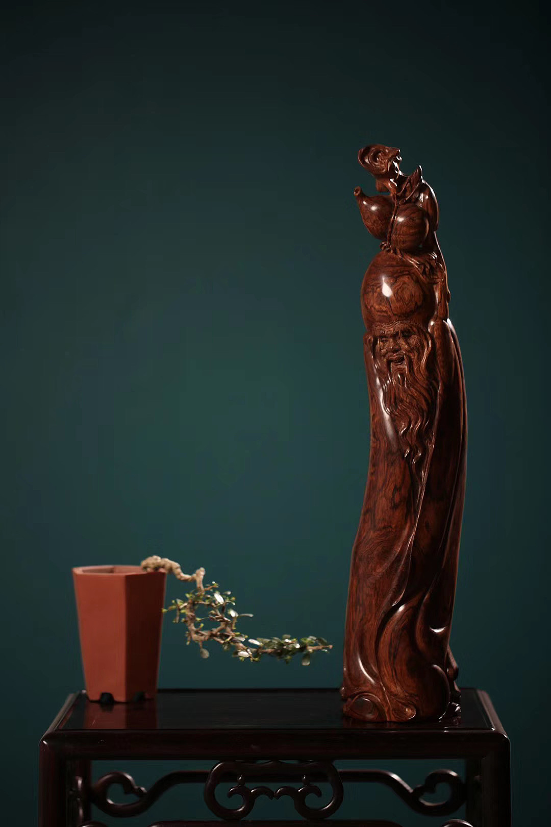 寿星｜海南黄花梨