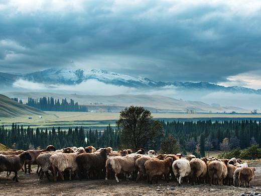 疆行——路上见闻