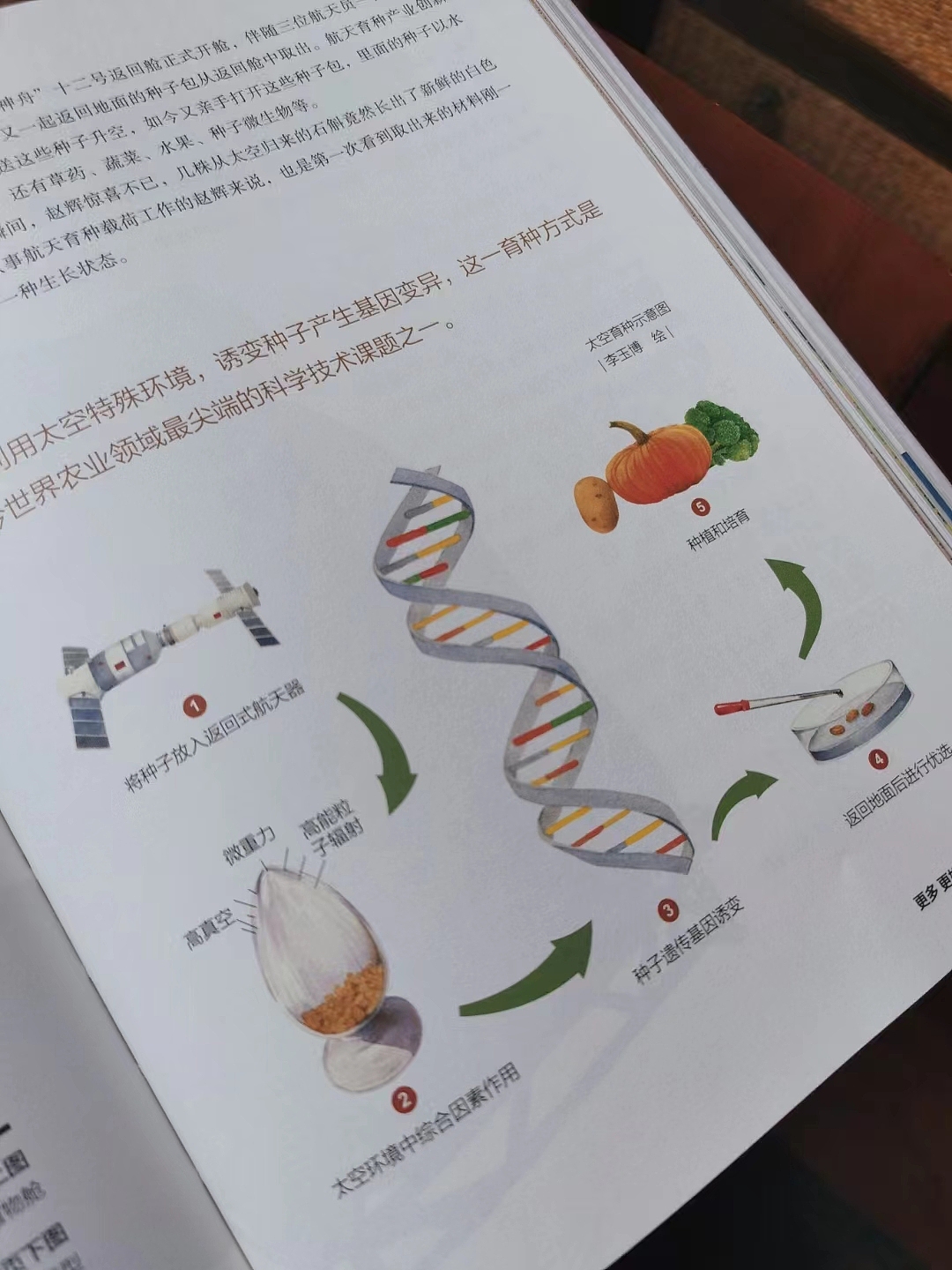 之前给中央电视台画的图书《种子 种子》出版