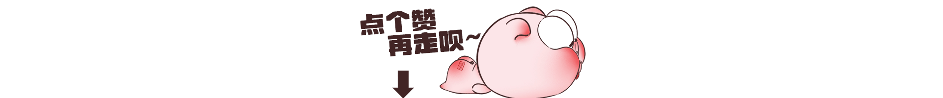 一只在广东出生的猪