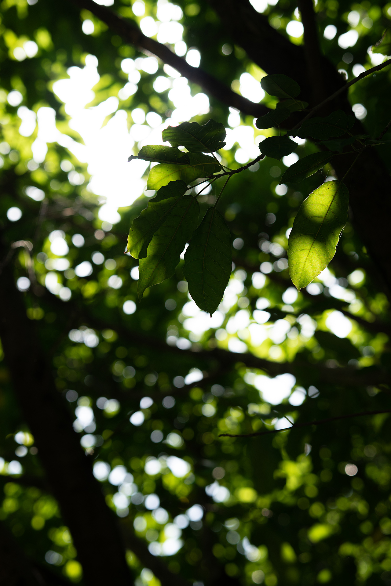 【扫街人文】宜昌西坝公园