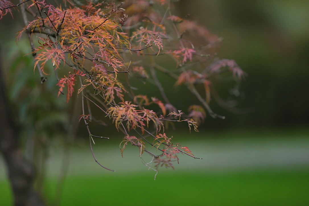 花脉花艺工作室