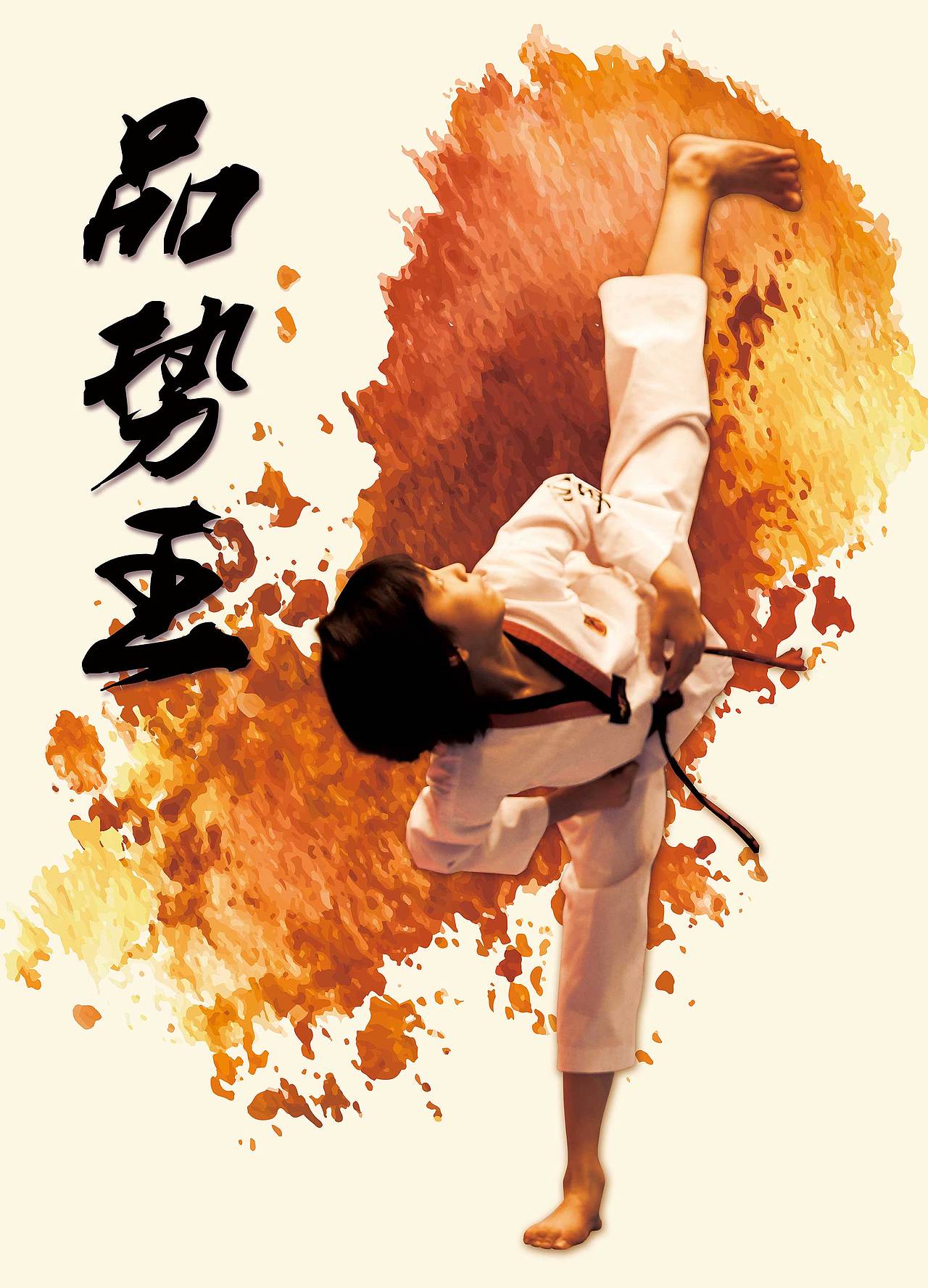 2013年全国大众跆拳道精英挑战赛海报