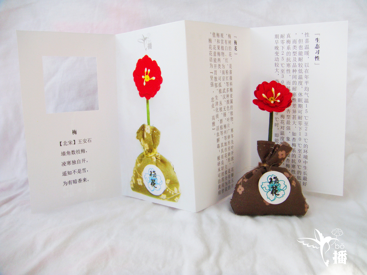 花种包装《播bō》（图ZOTYyMDY1Ng==） - 包装 - 站酷设计师sissitong原创素材 - 站酷ZCOOL