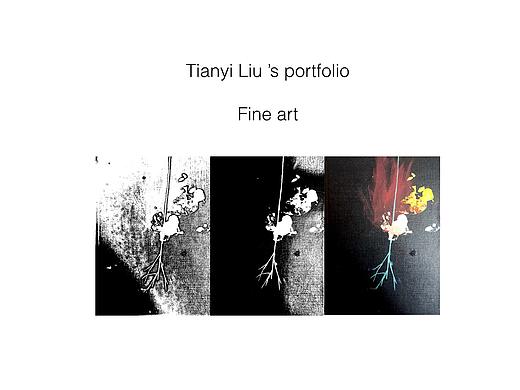 Tiny Liu&#39;s portfolio
