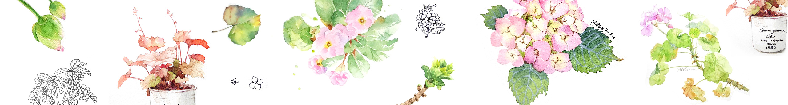 月光森林C的個(gè)人主頁(yè)（封面預(yù)覽） - 主頁(yè)封面設(shè)置 - 站酷設(shè)計(jì)師月光森林C原創(chuàng)素材 - 站酷ZCOOL