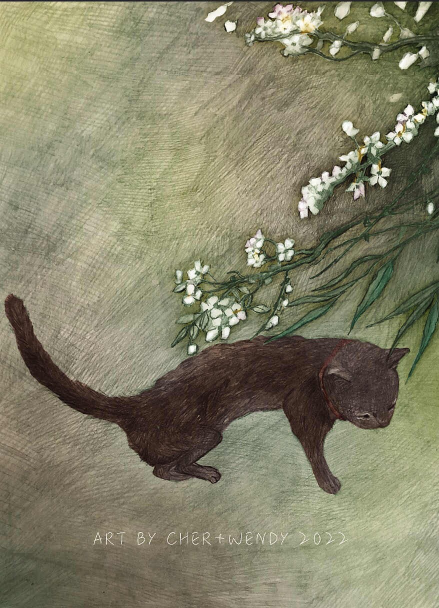 给一个外国主播画的救助小猫的绘本（图ZMzQwODMzMjI4） - 绘本 - 站酷设计师胖蛇CHER原创素材 - 站酷ZCOOL