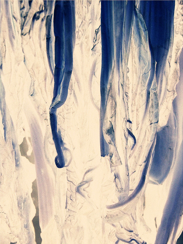 难吧,猜不出猜不出!!!