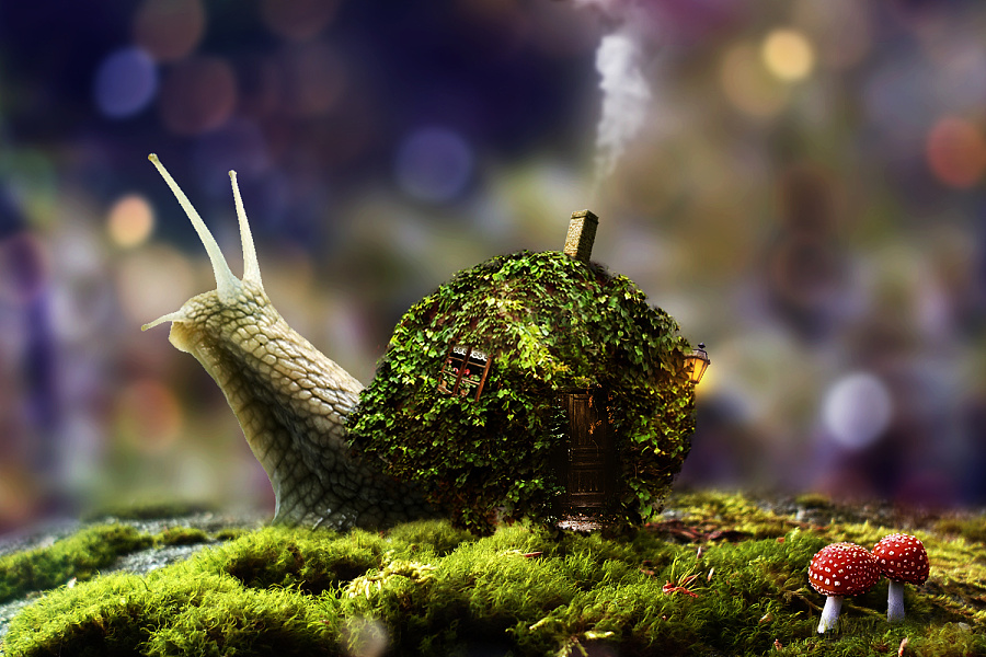 创意设计"蜗牛房"