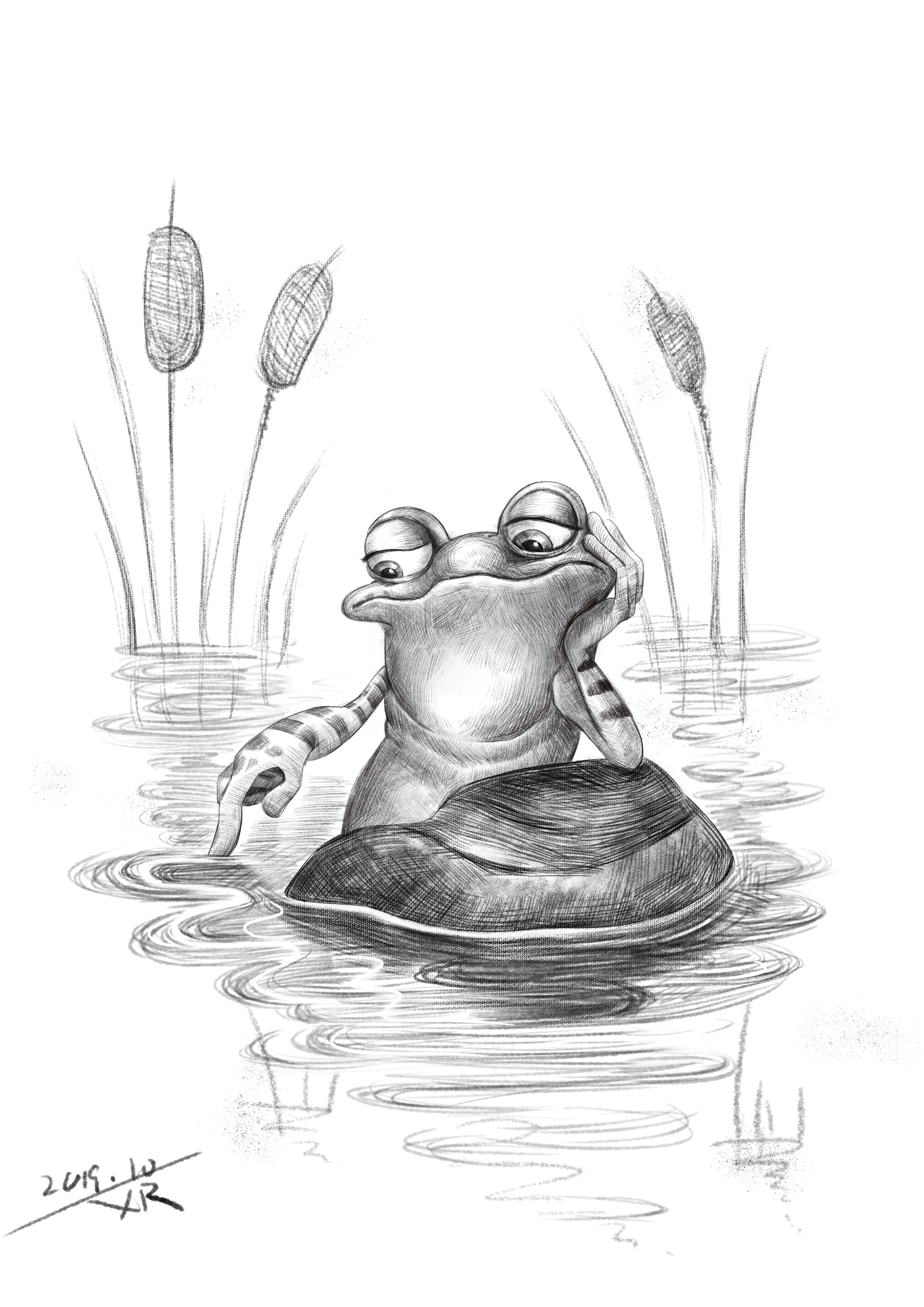 青蛙的素描画图片