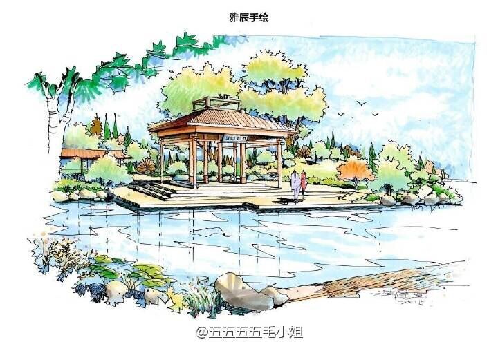 景观园林手绘草图