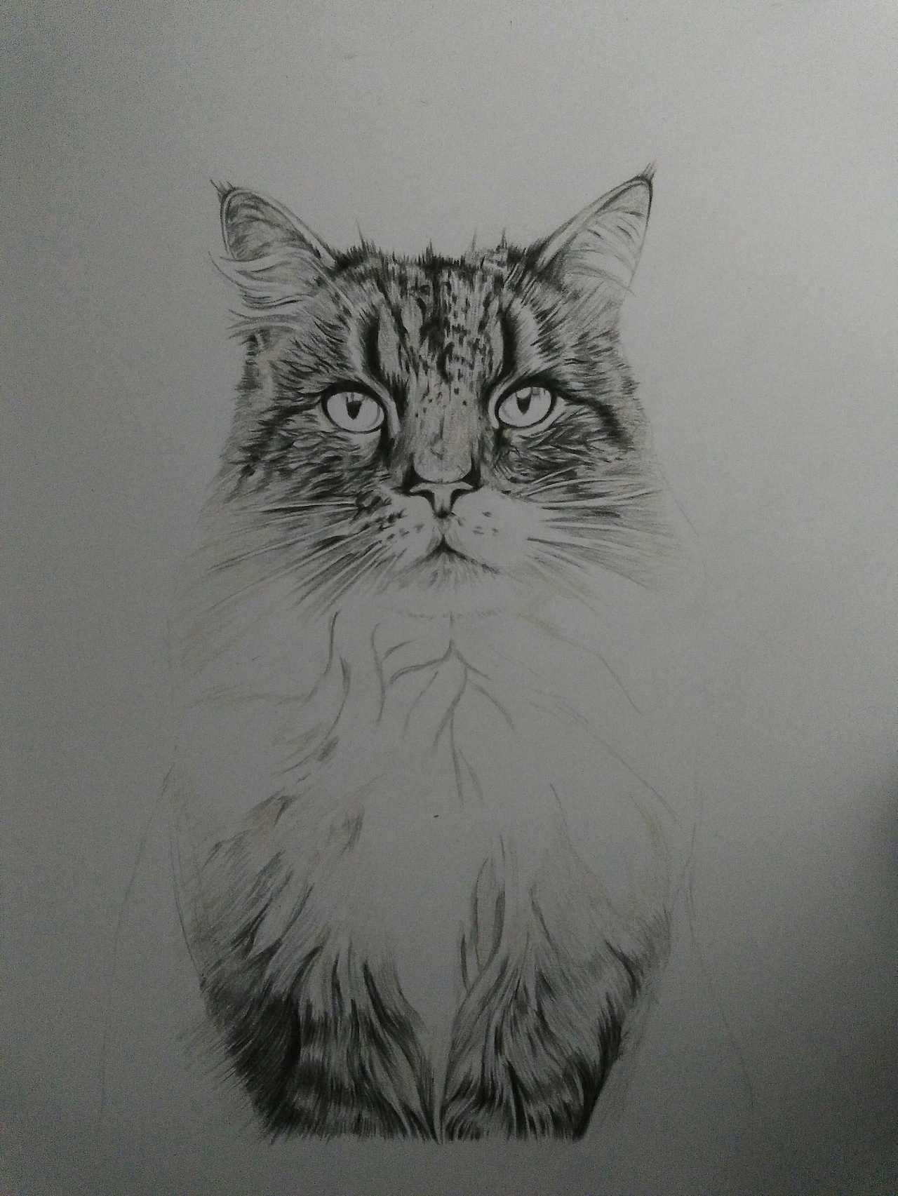 萝卜卜xy画画的陈一丘05:29:28从零开始学素描(基础篇)468147王云飞04