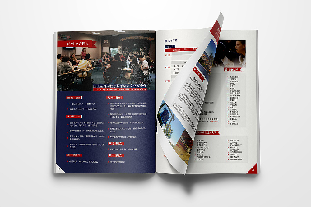 PEDUS教育培训类画册
