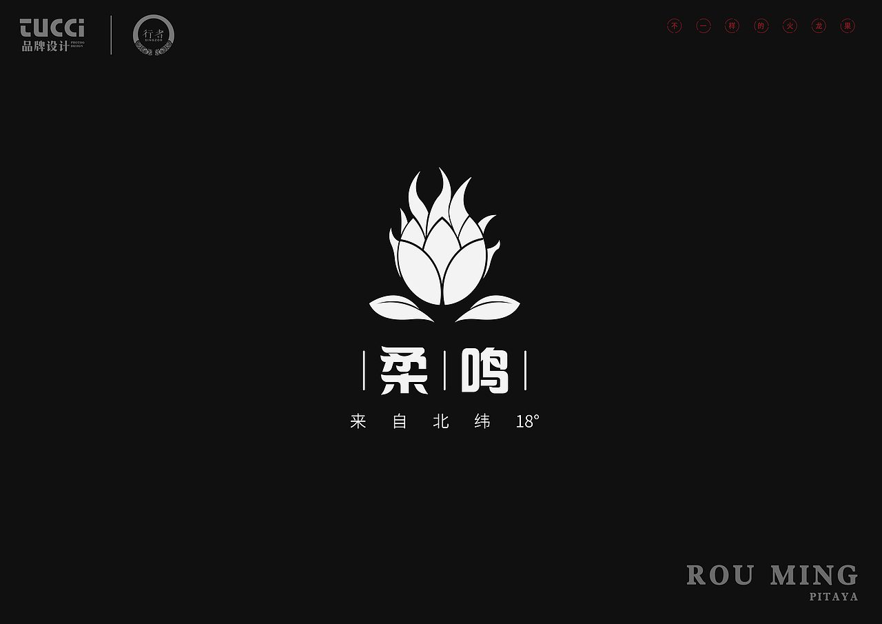 柔鸣火龙果LOGO方案（图ZMTI1NTkwMzEy） - Logo - 站酷设计师黄大海原创素材 - 站酷ZCOOL