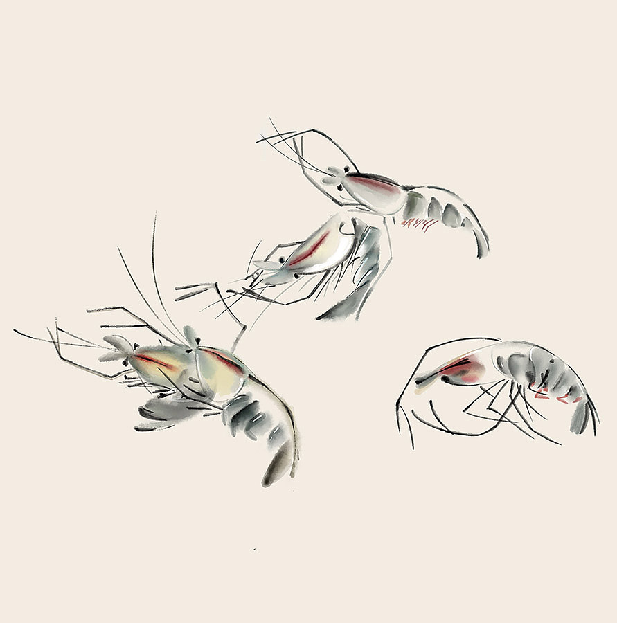 虾蟹（图ZMTQxODY2NzA4） - 绘画 - 站酷设计师林中小蜗原创素材 - 站酷ZCOOL