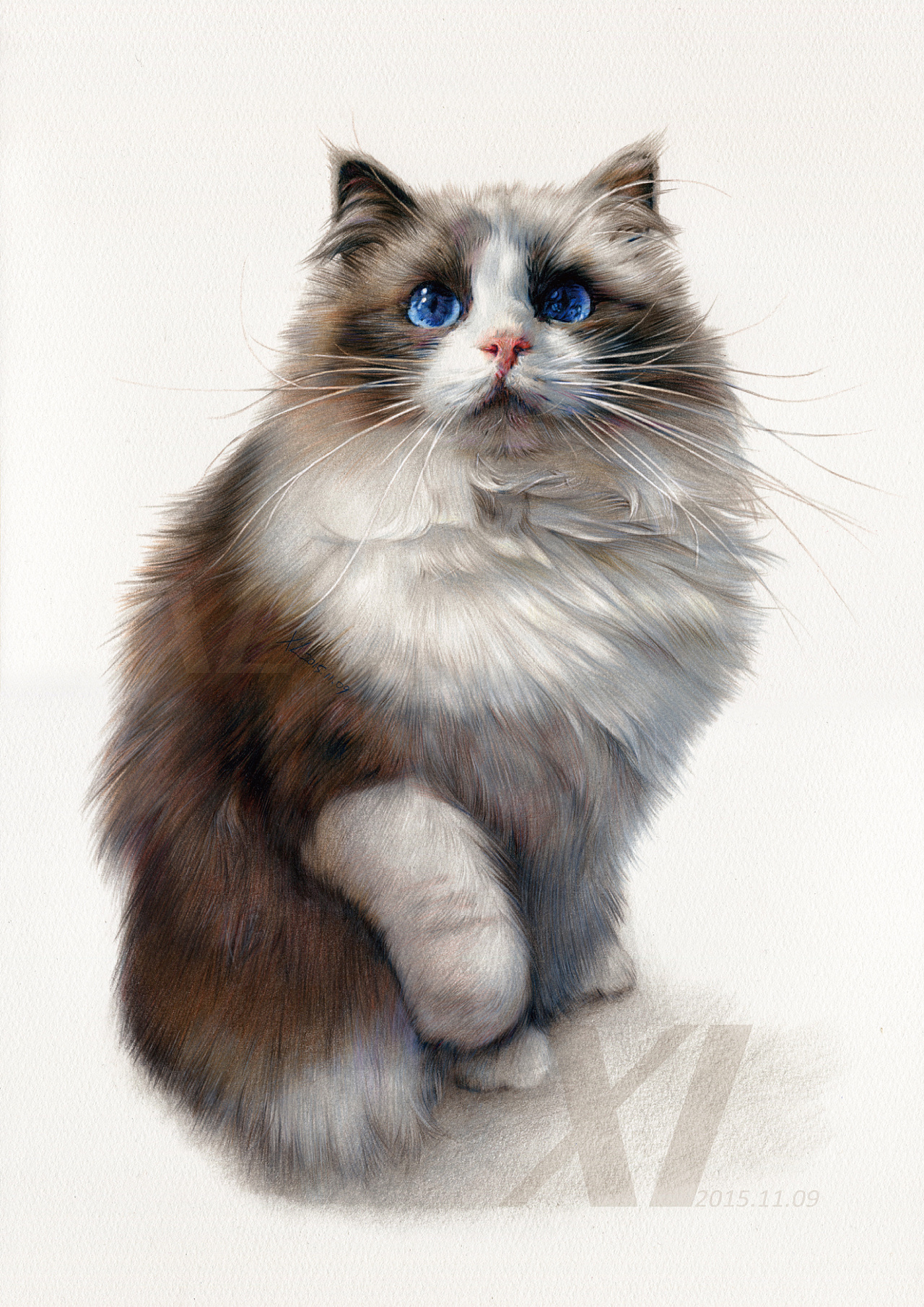 3幅萌猫彩铅画图片欣赏-露西学画画