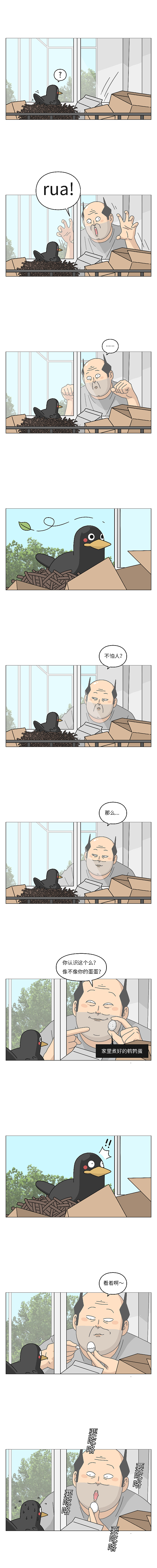 被一只鸟记仇是什么体验？（图ZMjA3ODMwMTAw） - 中/长篇漫画 - 站酷设计师郭九二原创素材 - 站酷ZCOOL