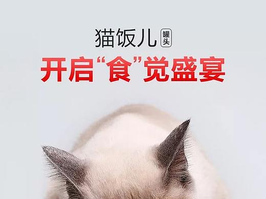 宠物食品详情页（个人主页-ZNTIzNDE0NjQ=） - 其他 - 站酷设计师星光渐落原创素材 - 站酷ZCOOL