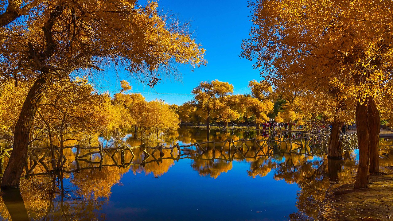 额济纳旗本就是一首诗