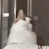 MieGuda的头像