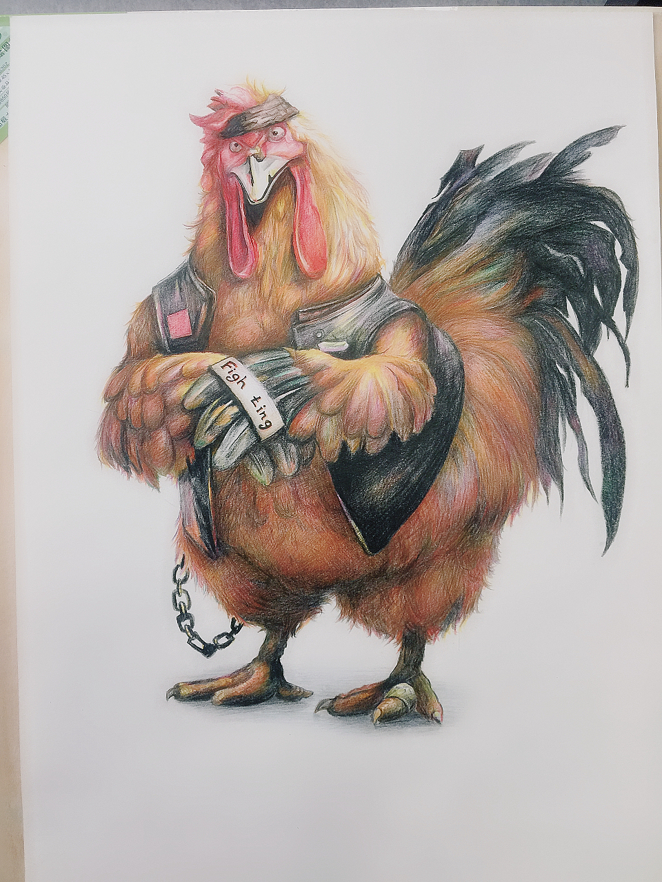 公鸡