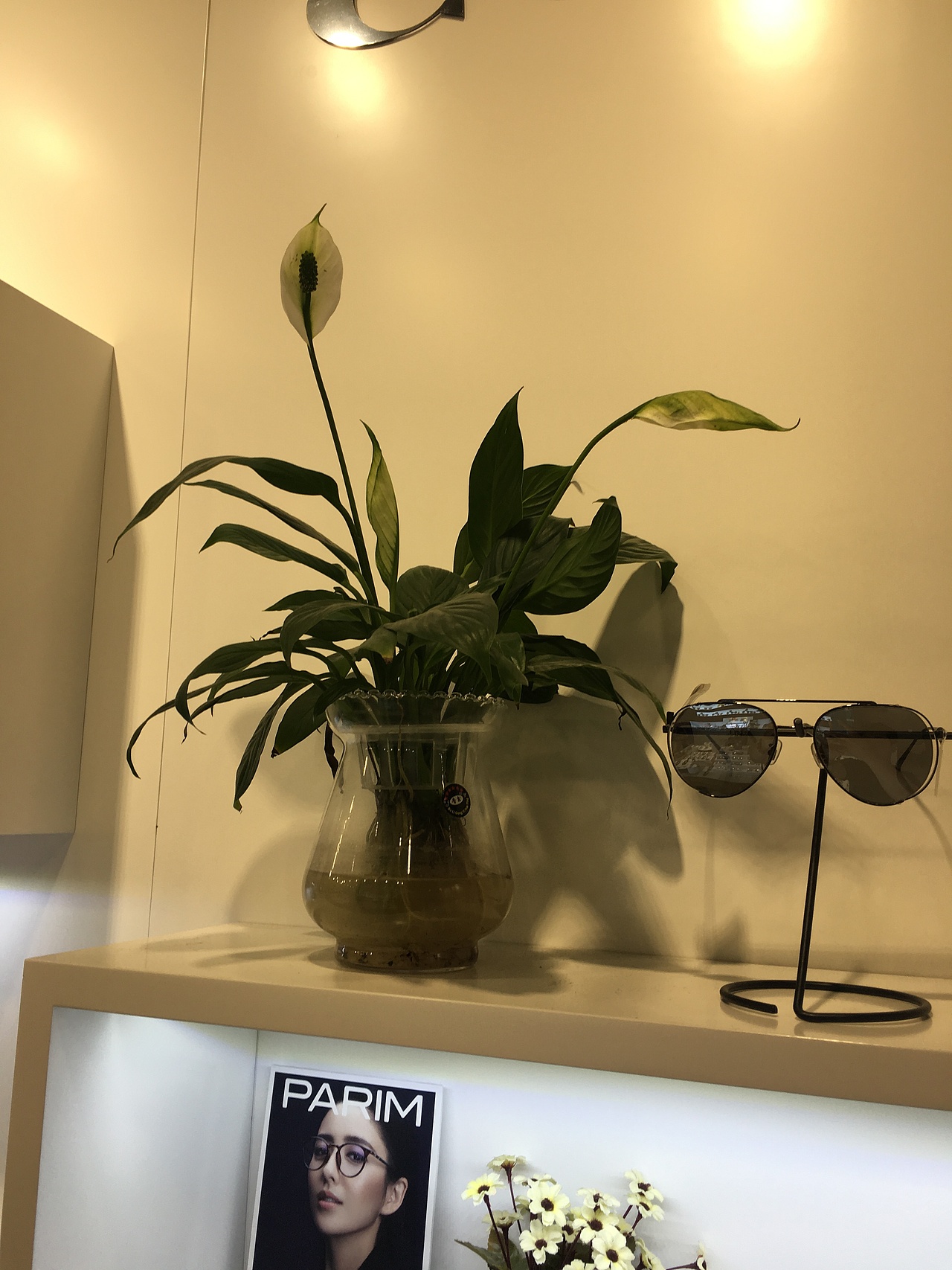 眼鏡店裝修/慕梓眼鏡店裝修設(shè)計(jì)/時(shí)尚商場(chǎng)店/眼鏡陳列（圖ZMjMzMTgzNzMy） - 展陳設(shè)計(jì) - 站酷設(shè)計(jì)師sxipeng原創(chuàng)素材 - 站酷ZCOOL