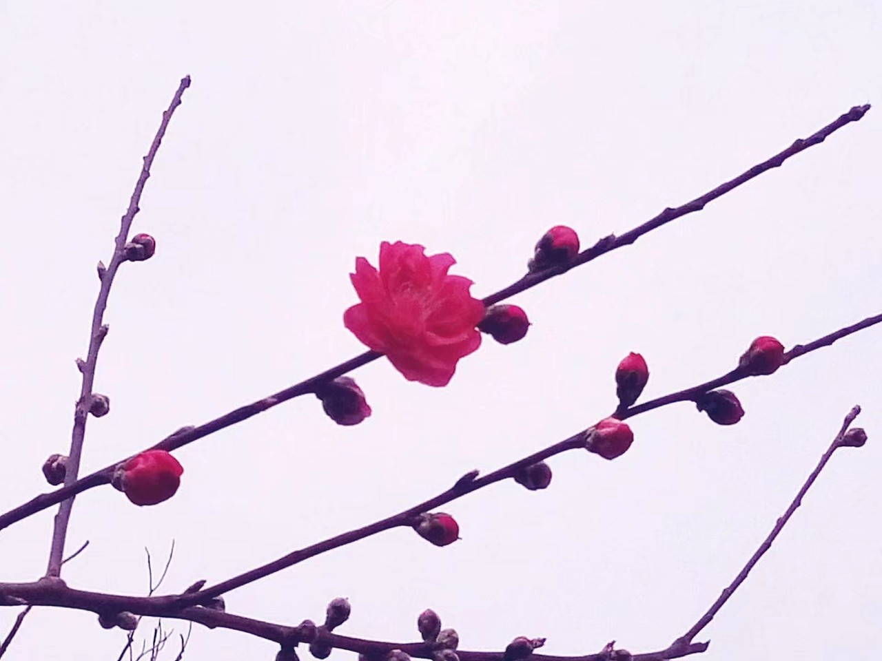 色彩构成（图ZMTM2MDM2ODky） - 概念设定 - 站酷设计师繁花侃侃原创素材 - 站酷ZCOOL