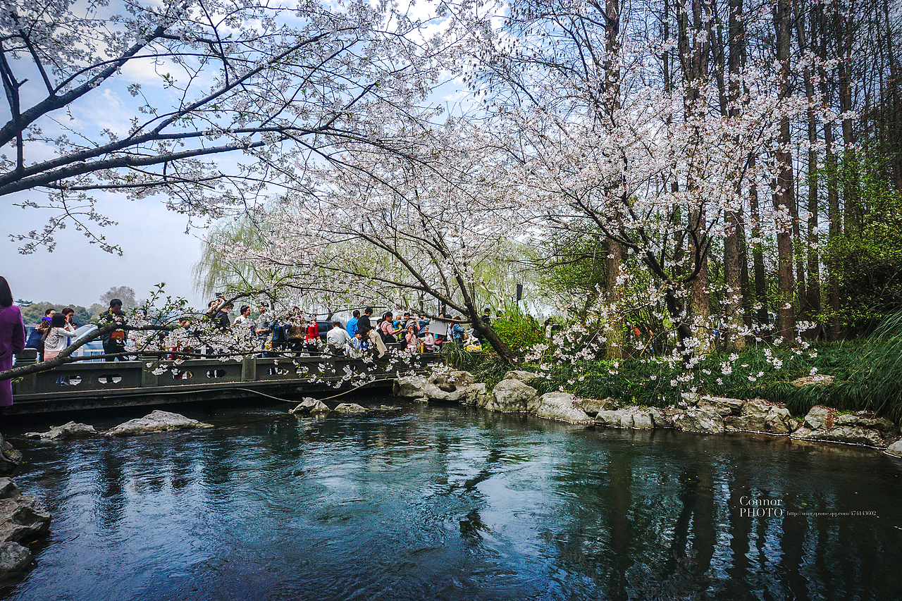 【A6000 春游太子湾】